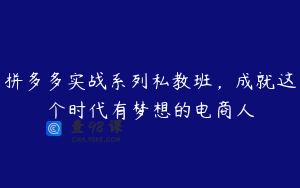 拼多多实战系列私教班，成就这个时代有梦想的电商人
