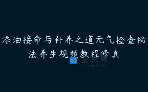 添油接命与补养之道元气检查秘法养生视频教程修真