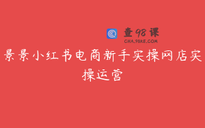 景景小红书电商新手实操网店实操运营