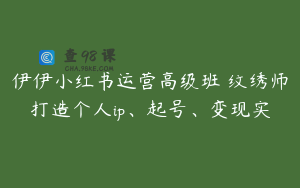 伊伊小红书运营高级班 纹绣师打造个人ip、起号、变现实
