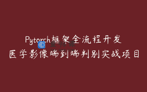 Pytorch框架全流程开发医学影像端到端判别实战项目