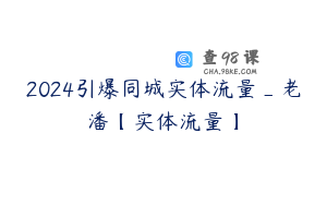 2024引爆同城实体流量_老潘【实体流量】