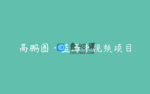 高鹏圈·蓝海中视频项目