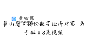 翟山鹰《揭秘数字经济财富-弟子班》8集视频
