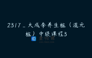 2317_大成拳养生桩（混元桩）中级课程3