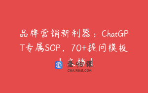 品牌营销新利器：ChatGPT专属SOP，70+提问模板【文档】