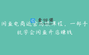闲鱼电商运营高级课程，一部手机学会闲鱼开店赚钱