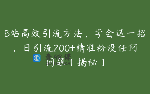 B站高效引流方法,学会这一招,日引流200+精准粉没任何问题【揭秘】