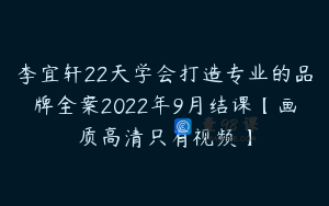 李宜轩22天学会打造专业的品牌全案2022年9月结课【画质高清只有视频】