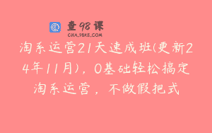 淘系运营21天速成班(更新24年11月)，0基础轻松搞定淘系运营，不做假把式