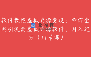 软件教程虚拟资源变现：带你全网引流卖虚拟资源软件，月入过万（11节课）