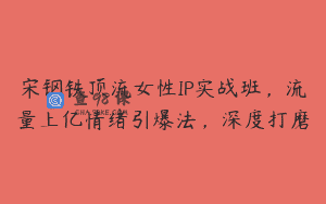 宋钢铁顶流女性IP实战班，流量上亿情绪引爆法，深度打磨