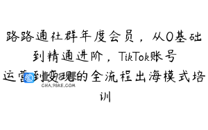路路通社群年度会员，从0基础到精通进阶，TikTok账号运营到变现的全流程出海模式培训