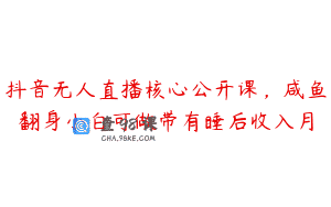 抖音无人直播核心公开课，咸鱼翻身小白可做带有睡后收入月