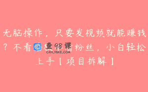 无脑操作，只要发视频就能赚钱？不看播放不看粉丝，小白轻松上手【项目拆解】