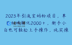 2023年引流宝妈粉项目,单日私域转化2000+,新手小白也可轻松上手操作,纯实操