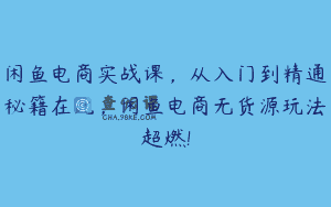 闲鱼电商实战课，从入门到精通秘籍在此，闲鱼电商无货源玩法超燃!