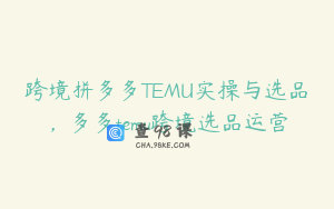 跨境拼多多TEMU实操与选品,多多temu跨境选品运营
