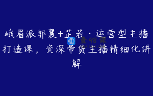 峨眉派郭襄+芷若·运营型主播打造课，资深带货主播精细化讲解
