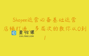 Shopee运营必备基础运营店铺打造,多层次的教你从0到1