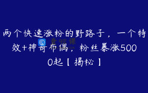 两个快速涨粉的野路子，一个特效+神奇布偶，粉丝暴涨5000起【揭秘】