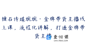 锤石传媒婉婉·金牌带货主播线上课，流程化讲解，打造金牌带货主播