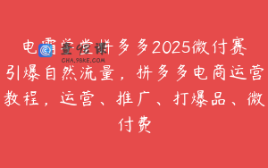 电霸学堂拼多多2025微付赛引爆自然流量，拼多多电商运营教程，运营、推广、打爆品、微付费