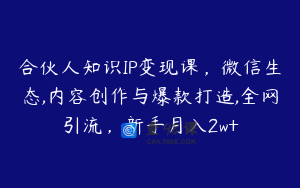 合伙人知识IP变现课，微信生态,内容创作与爆款打造,全网引流，新手月入2w+