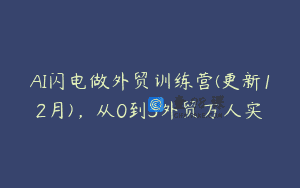 AI闪电做外贸训练营(更新12月)，从0到3外贸万人实