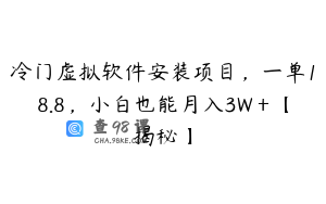 冷门虚拟软件安装项目,一单18.8,小白也能月入3W+【揭秘】