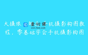 大摄狼·邹总 手机摄影构图教程，零基础学会手机摄影构图