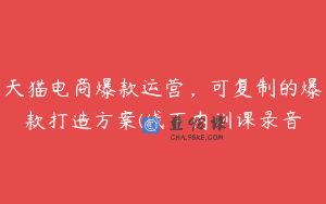 天猫电商爆款运营，可复制的爆款打造方案(线下内训课录音