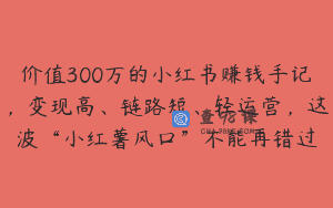 价值300万的小红书赚钱手记，变现高、链路短、轻运营，这波“小红薯风口”不能再错过