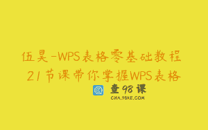 伍昊-WPS表格零基础教程 21节课带你掌握WPS表格