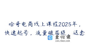 哈哥电商线上课程2025年，快速起号，流量破层级，这套