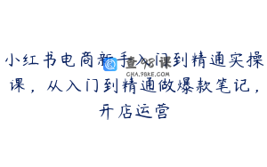 小红书电商新手入门到精通实操课,从入门到精通做爆款笔记,开店运营
