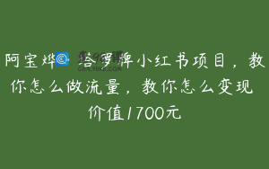 阿宝烨·塔罗牌小红书项目，教你怎么做流量，教你怎么变现 价值1700元