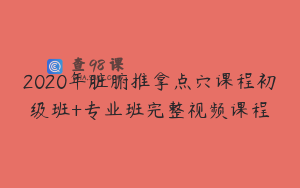 2020年脏腑推拿点穴课程初级班+专业班完整视频课程