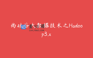 尚硅谷大数据技术之Hadoop3.x