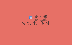 VIP定制-审计