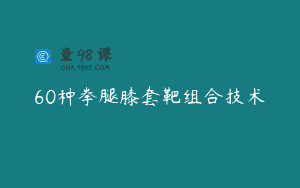 60种拳腿膝套靶组合技术