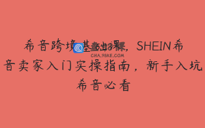 希音跨境基础课，SHEIN希音卖家入门实操指南，新手入坑希音必看