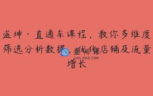盗坤·直通车课程，教你多维度筛选分析数据，优化店铺及流量增长
