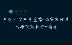 牛金大学阿牛直播 杨殿方潜龙出海视频教程+指标