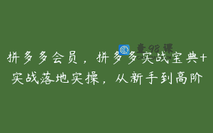 拼多多会员，拼多多实战宝典+实战落地实操，从新手到高阶