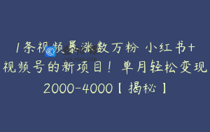 1条视频暴涨数万粉–小红书+视频号的新项目！单月轻松变现2000-4000【揭秘】