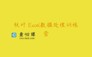 秋叶 Excel数据处理训练营
