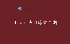 小飞大侠训练营二期