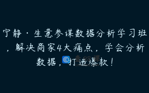宁静·生意参谋数据分析学习班，解决商家4大痛点，学会分析数据，打造爆款！