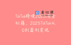 TikTok跨境2025淘金秘籍，2025TikTok从0到盈利变现